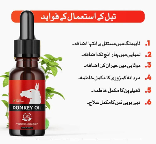 buy-donkey-oil-at-best-price-online-shopping-price-in-sheikhupura-big-0