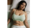 call-girls-in-gtb-nagar-9990038849-delhi-ncr-small-0