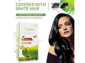 apple-hair-color-price-in-rawalpindi-03001675176-small-0